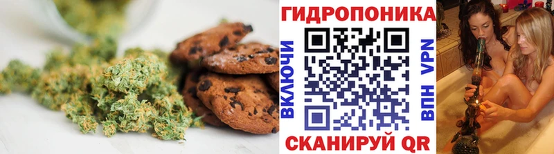 Cannafood конопля  Чита 