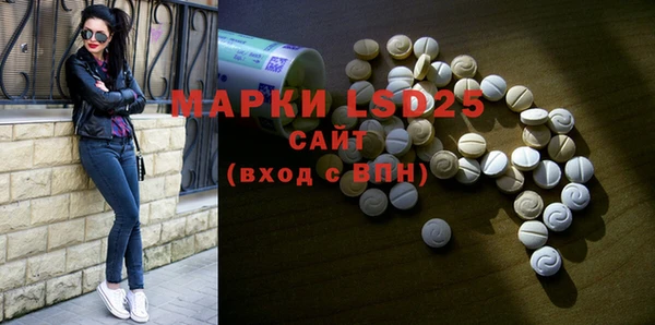 шишки Чекалин