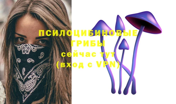 шишки Чекалин
