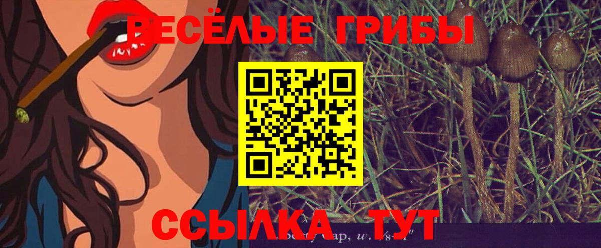 Галлюциногенные грибы Psilocybine cubensis  Псилоцибиновые грибы GOLDEN TEACHER  Вход с VPN  Чита 