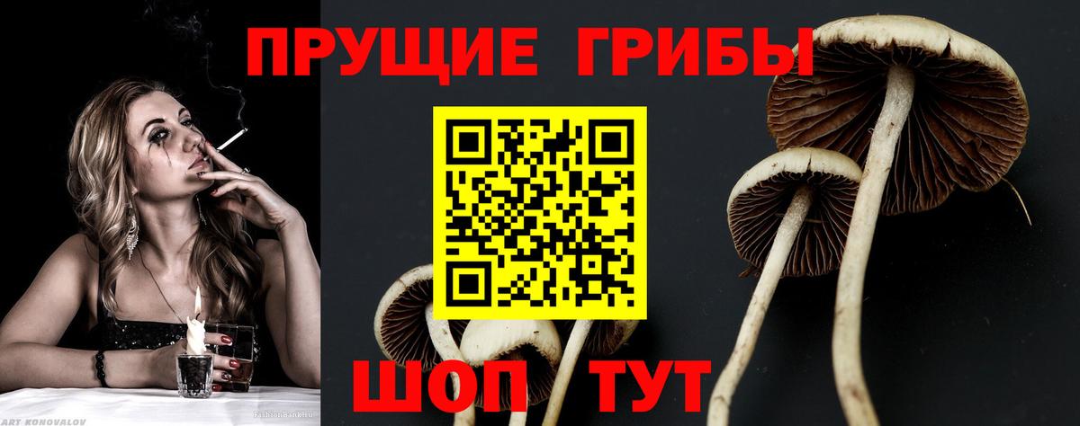 Галлюциногенные грибы Magic Shrooms Чита